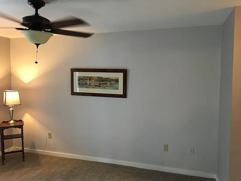 356 S Pantops Dr — Photo 26