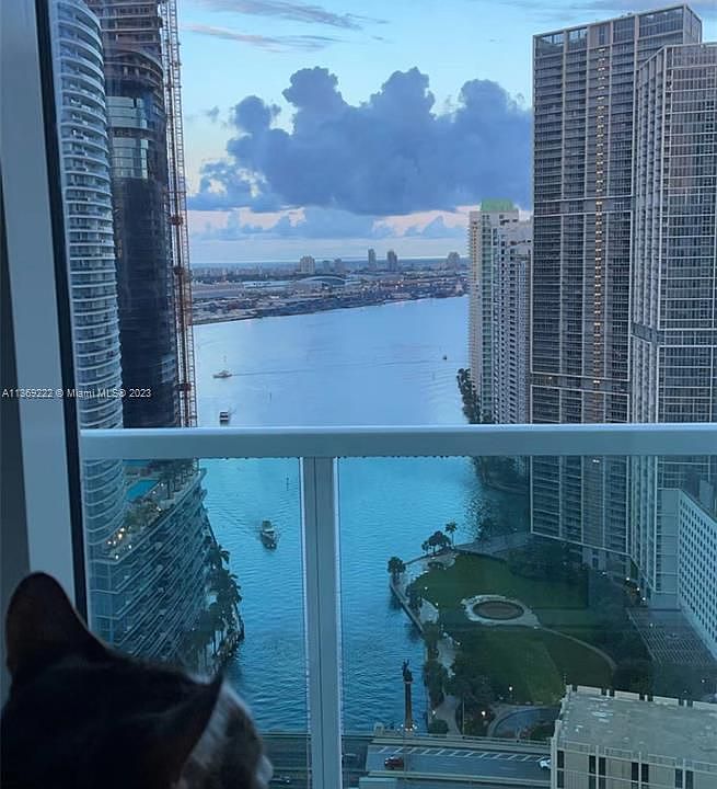 1st image of 31 SE 5th St APT 4116