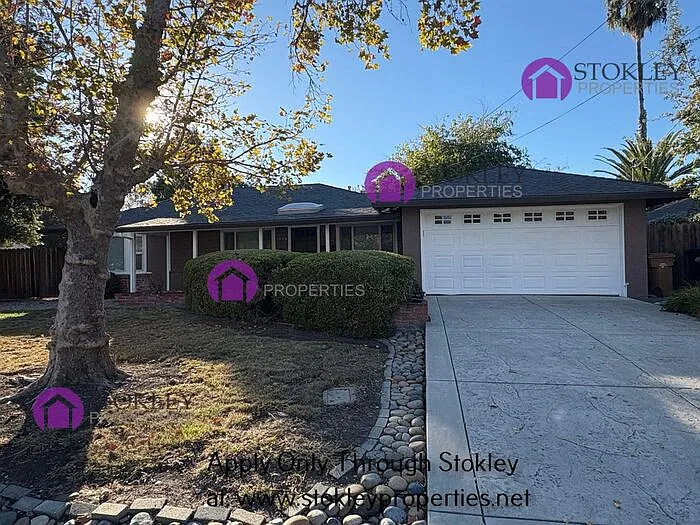 3 bed, 1.0 bath, 1042 sqft, $3,295 — Photo 3