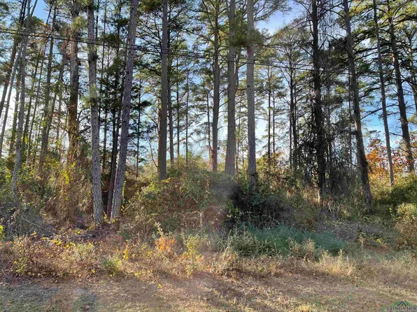 Green Meadow Trl, Hawkins, TX 75765