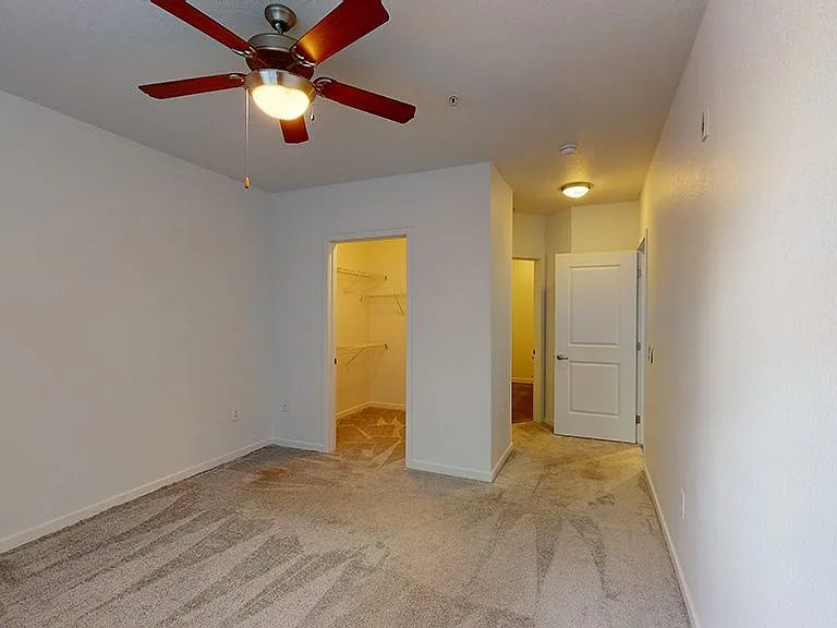 Spacious apartment bedroom with large closet and plush carpet flooring.