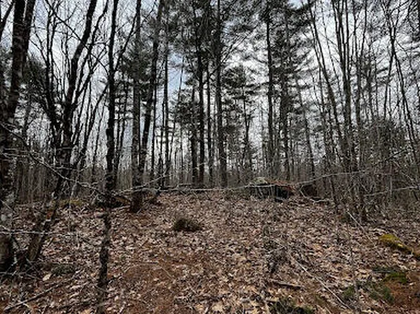 Lot 6 & 8 Albin Road, Searsmont, ME 04973