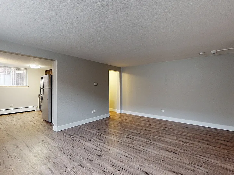 South Forest — Photo 12