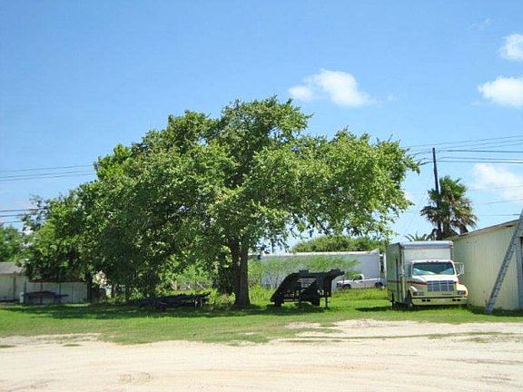 Side Yard