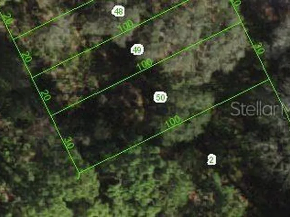 17552 Nectar Flume Dr, Land O Lakes, FL 34638