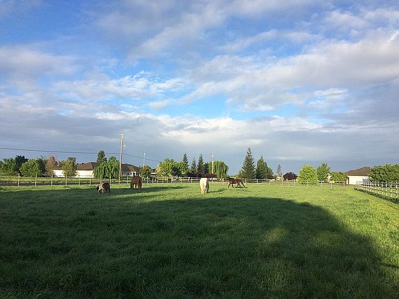 View of the back pasture.