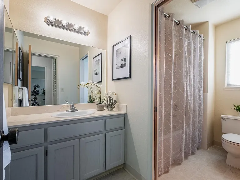 Primary Vanity and Water Closet