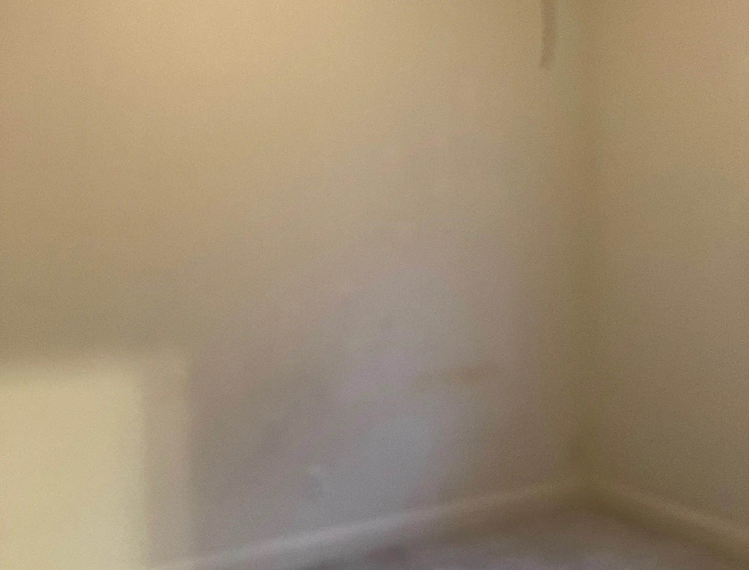 3 bed, 1110 sqft, $2,200 — Photo 3