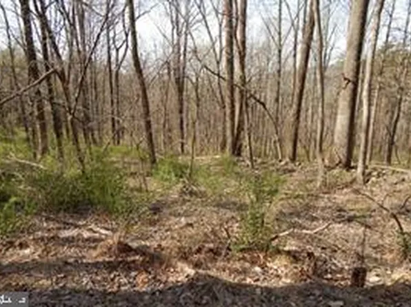 1 Spicy Cedar Ln, Berkeley Springs, WV 25411