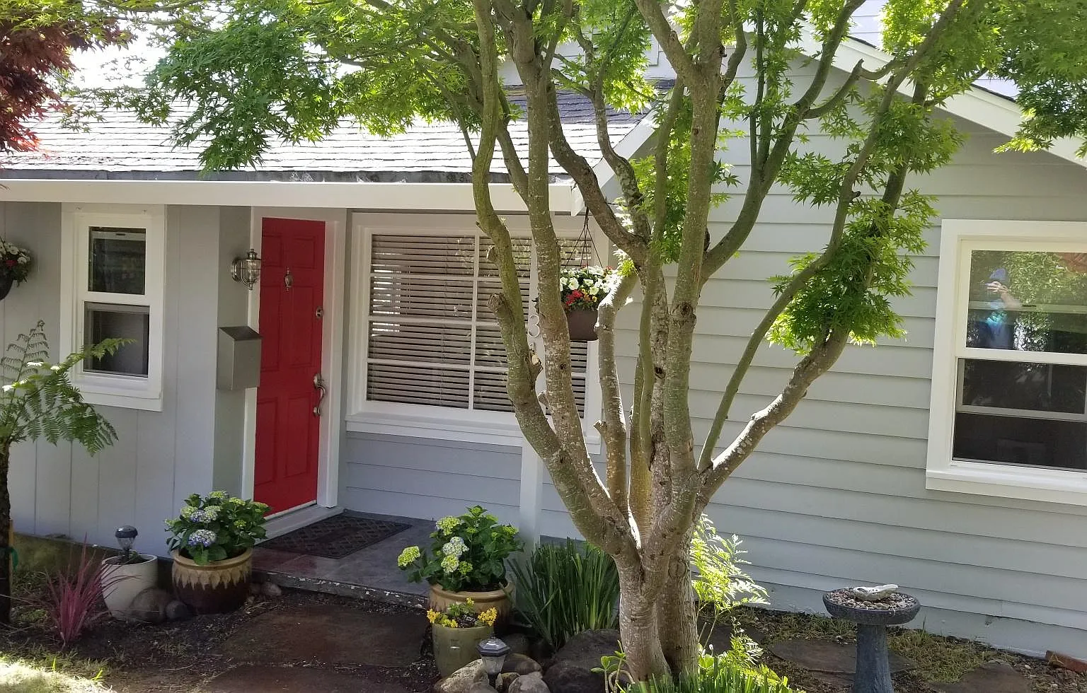 311 Redwood Ave — Photo 1