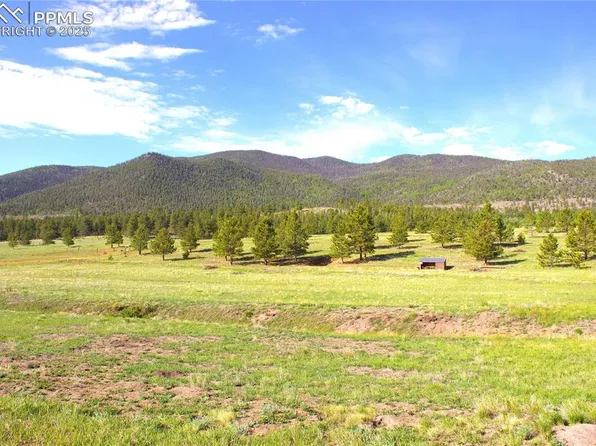 43 Stoll Cir, Bailey, CO 80827