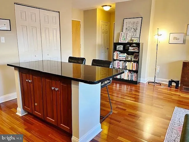 2101 Chestnut St #517 — Photo 5