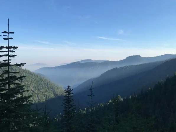 Champion Creek Rd, Cottage Grove, OR 97424