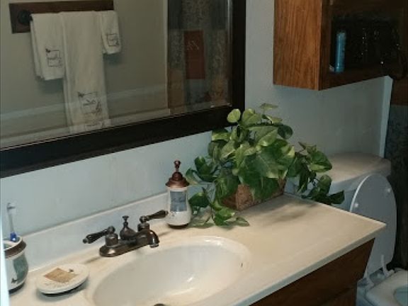 Downstairs bath