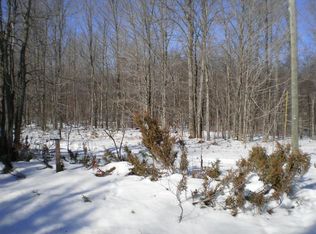 Springdale Rd, Thompsonville, MI 49683