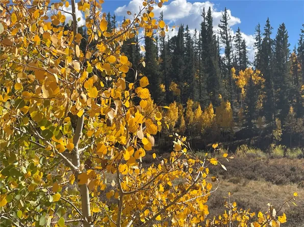 581 Longbow Dr, Como, CO 80432