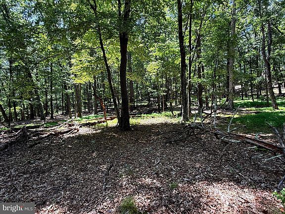 4th image of Sub Parcels Of Boonedock Dr Lt 27 & 28