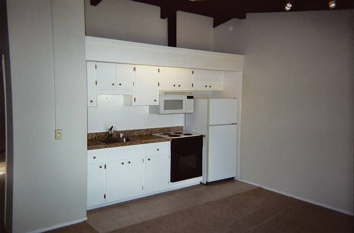 Kitchen w/vaulted ceiling