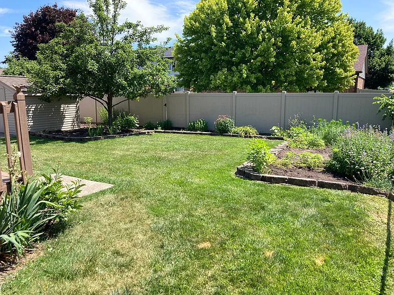 Spacious backyard, perfect for get togethers