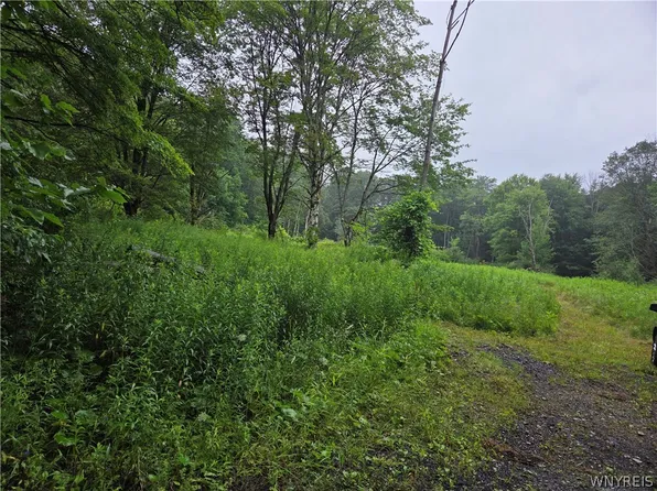 Warner Gulf Rd Lot 18, Holland, NY 14080