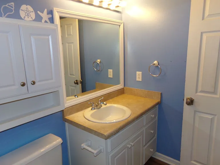 711 Barney Fones Dr — Photo 24