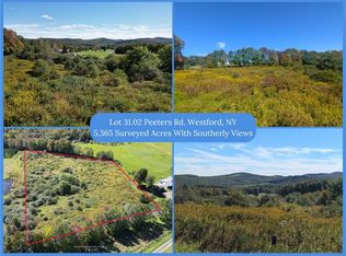 LOT 31.02 Peeters Rd Lot 31, Schenevus, NY 12155