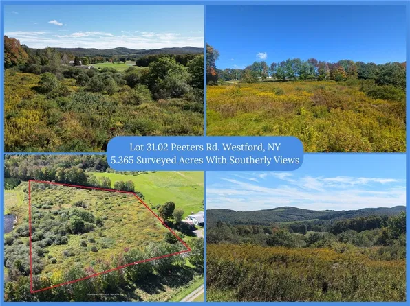 LOT 31.02 Peeters Rd Lot 31, Schenevus, NY 12155