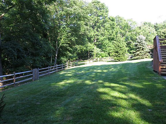Backyard In Summer 2012
