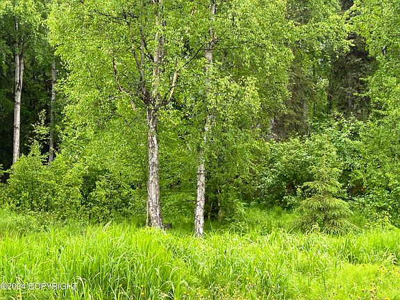 2nd image of 0 River Park Dr