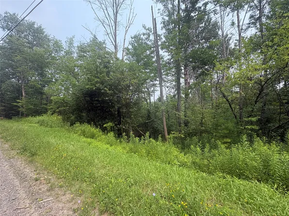 0 Ketchumville Rd, Newark Valley, NY 13811