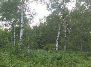 Big Stump Trl, Gaylord, MI 49735