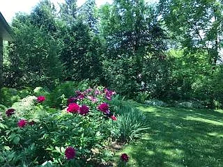 Flower gardens