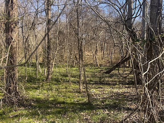 5th image of 0 Pembroke Oak Grove Rd