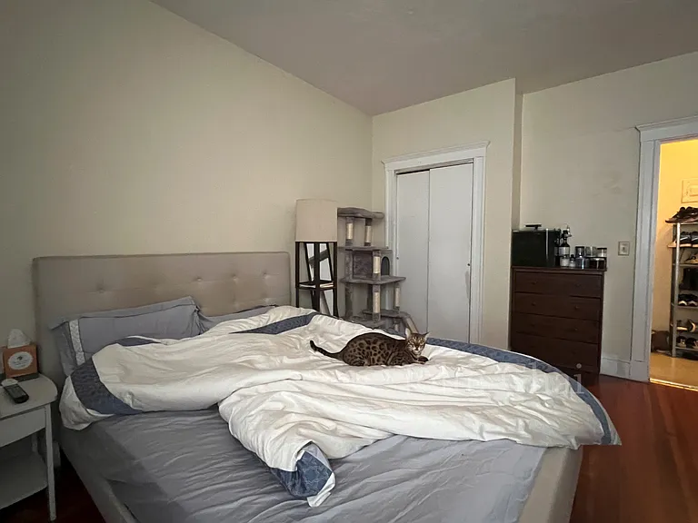 1118 Commonwealth Ave #1A — Photo 14