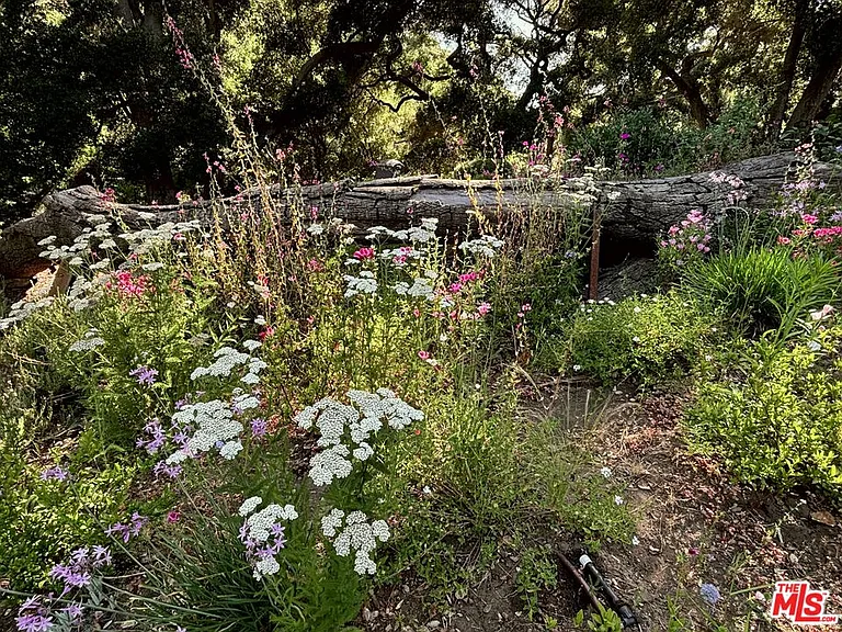 1149 Old Topanga Canyon Rd — Photo 44