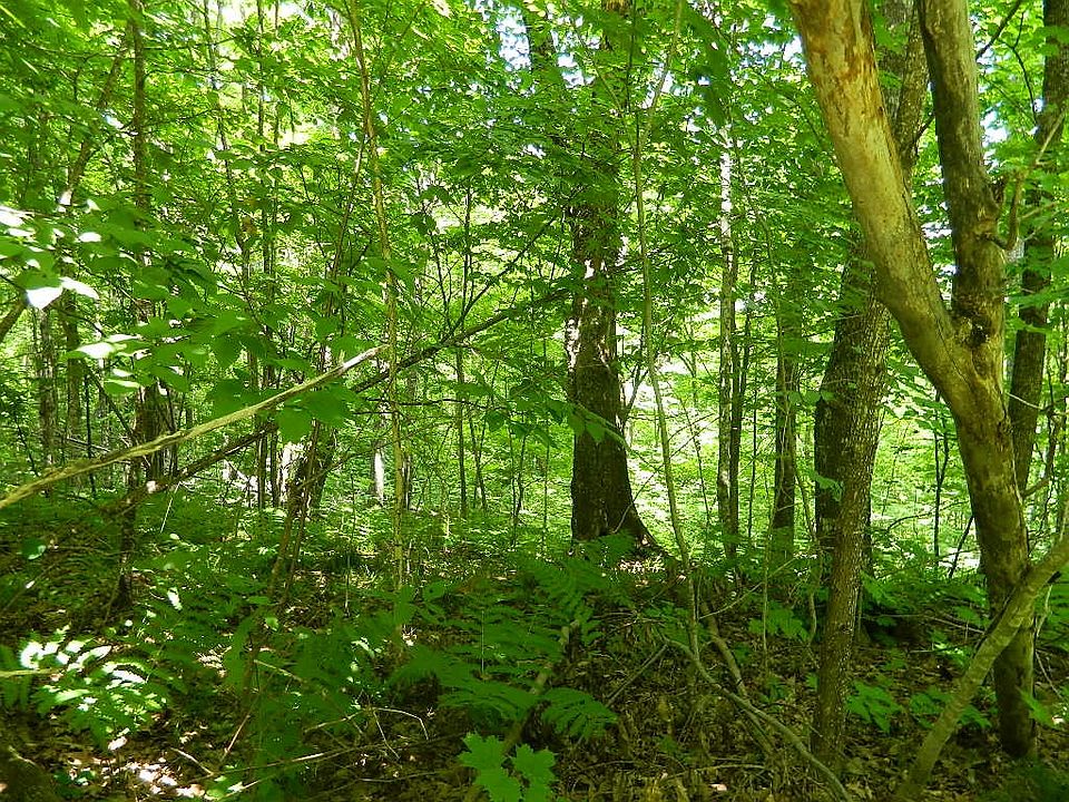 1st image of 0 Scout Trail