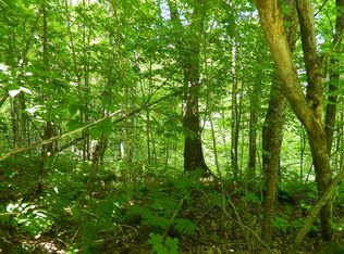 0 Scout Trl, Ojibwa, WI 54862