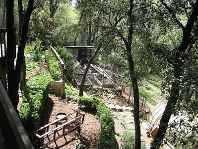 vegetable garden in among the trees - with greenhouse!