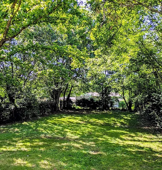 101 Evergreen Ct — Photo 4
