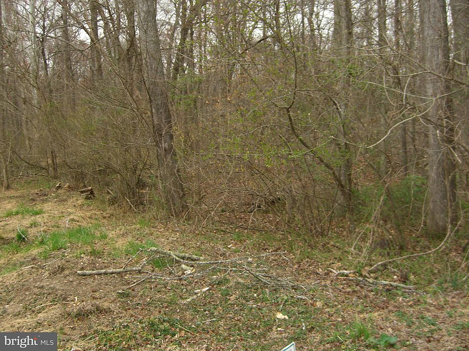 2nd image of Bonnie Ln