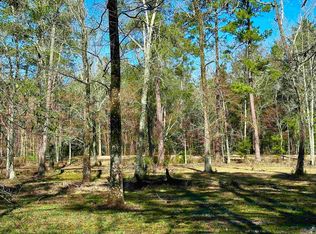 B 2 Perkins Rd, Denham Springs, LA 70706