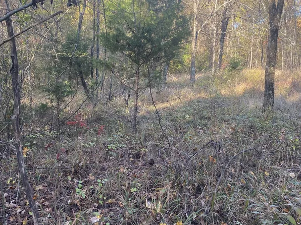 0 Simms Heights Rd, Kingston Springs, TN 37082