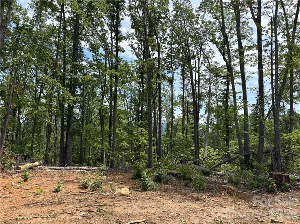 Early Rd, Saluda, NC 28773