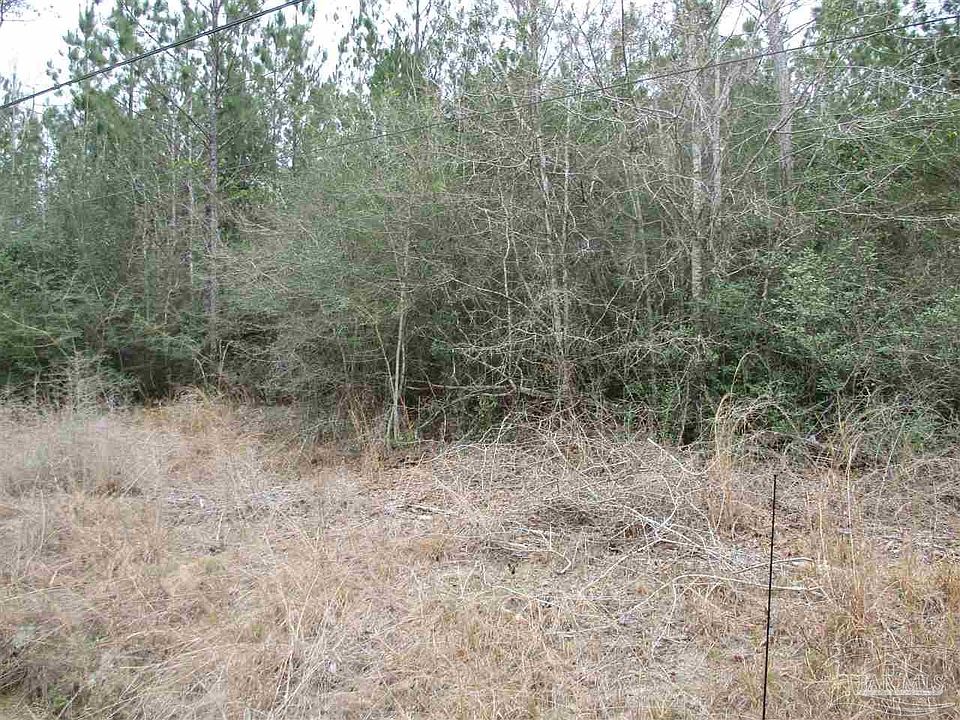 1st image of 20 Acres Shady Hollow Dr