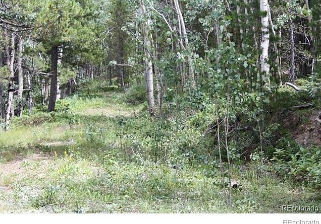2nd image of 3520 Smith Hill Rd