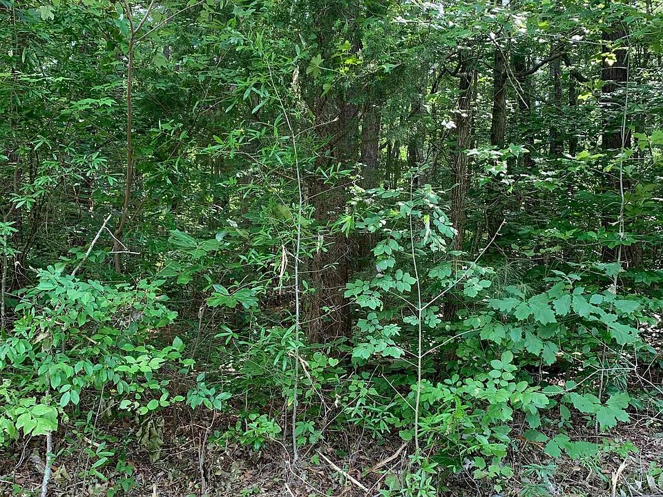 2417 Bivins Rd, Durham, NC 27712 MLS 2496738 Zillow