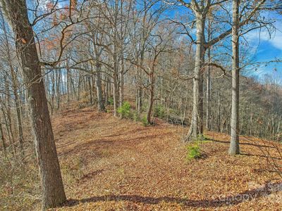 331 Silent Forest Dr, Canton, NC, 28716