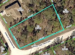 12299 Ipswich Sparrow Rd, Weeki Wachee, FL 34614