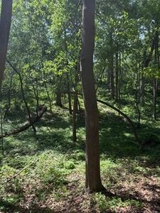 32683 West PHEASANT DRIVE, Nashotah, WI, 53058