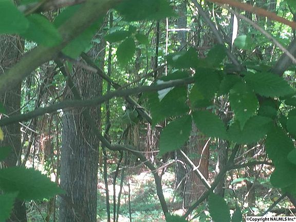 5th image of 408 Oak Trl NE